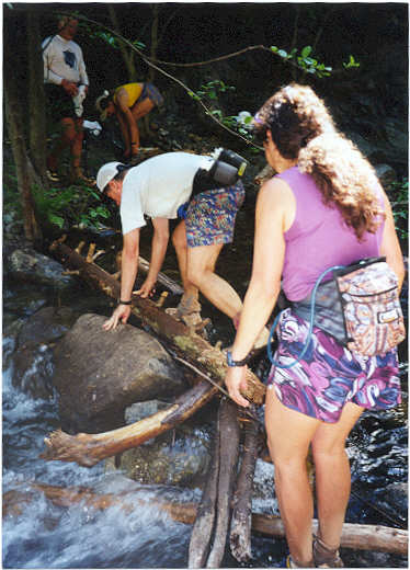 Crossing the Log at Volcano Creek